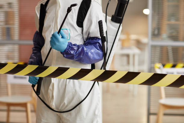 Professional Sewage Cleanup technician working in Glenwood, AR